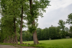 Okolí-chalupy-8